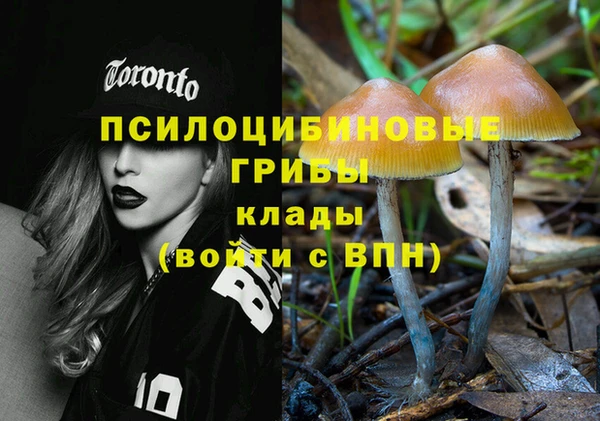 мяу мяу мука Аркадак