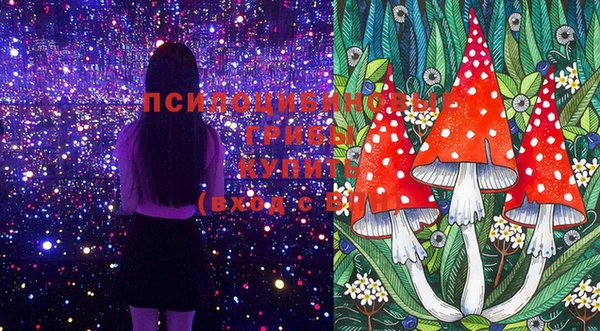 PSILOCYBIN Арсеньев