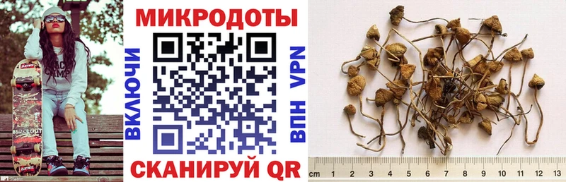 Галлюциногенные грибы Psilocybine cubensis Верхний Уфалей